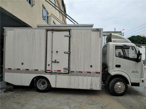 神阳新能源 增城智造，以安全可靠定义小型物流车新标杆